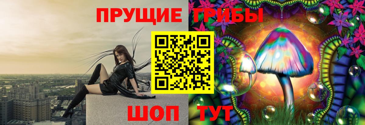 Галлюциногенные грибы Psilocybine cubensis  Вход с VPN  Ейск 