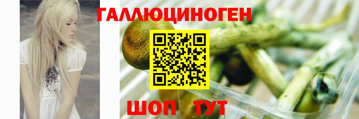 Псилоцибиновые грибы прущие грибы Ейск
